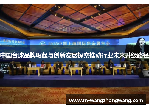 中国台球品牌崛起与创新发展探索推动行业未来升级路径