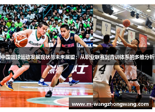 中国篮球运动发展现状与未来展望：从职业联赛到青训体系的多维分析