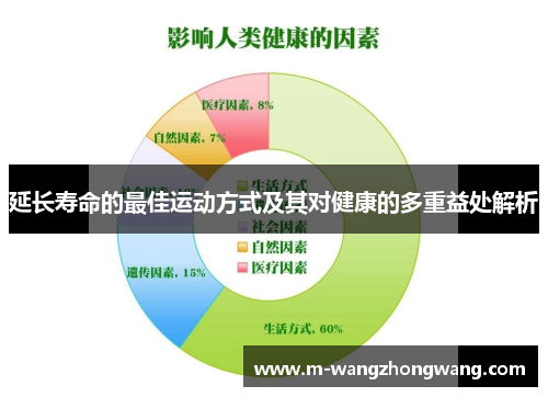延长寿命的最佳运动方式及其对健康的多重益处解析